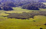 TANZANIA - Arusha National Park - 11